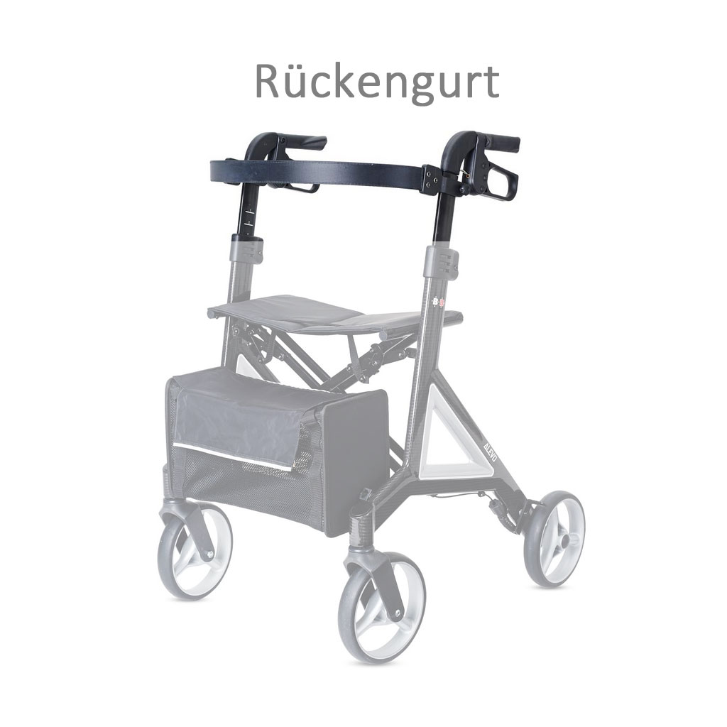 Rckengurt fr Rollator Alevo von Bischoff + Bischoff